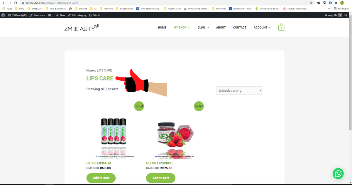 cara mudah membuat sub menu di wordpress 202112