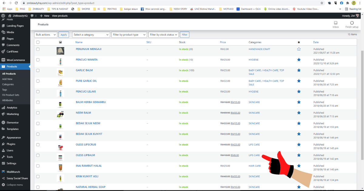 cara mudah membuat sub menu di wordpress 20214