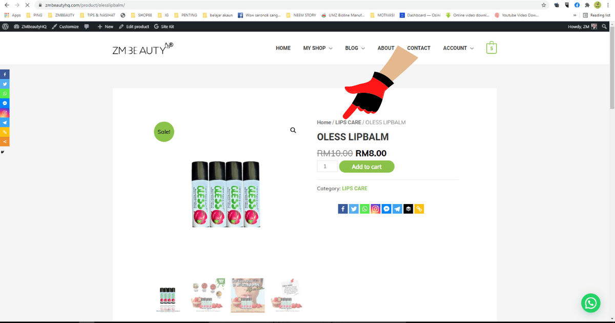 cara mudah membuat sub menu di wordpress 20215
