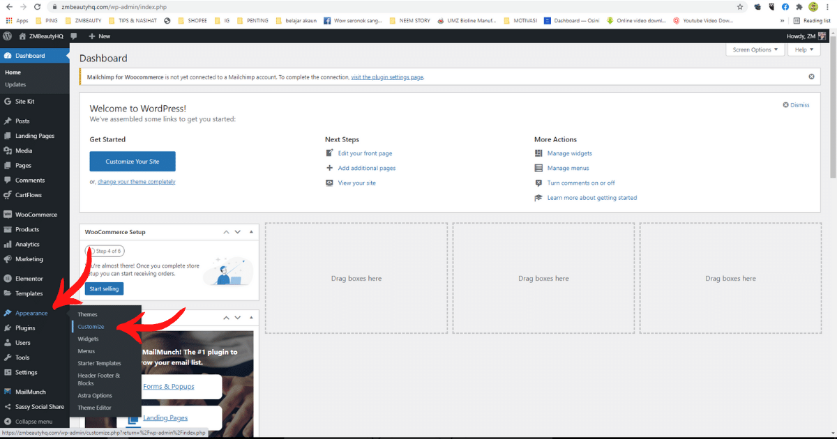 tutorial cara mudah menukar font dan saiz font di wordpress2