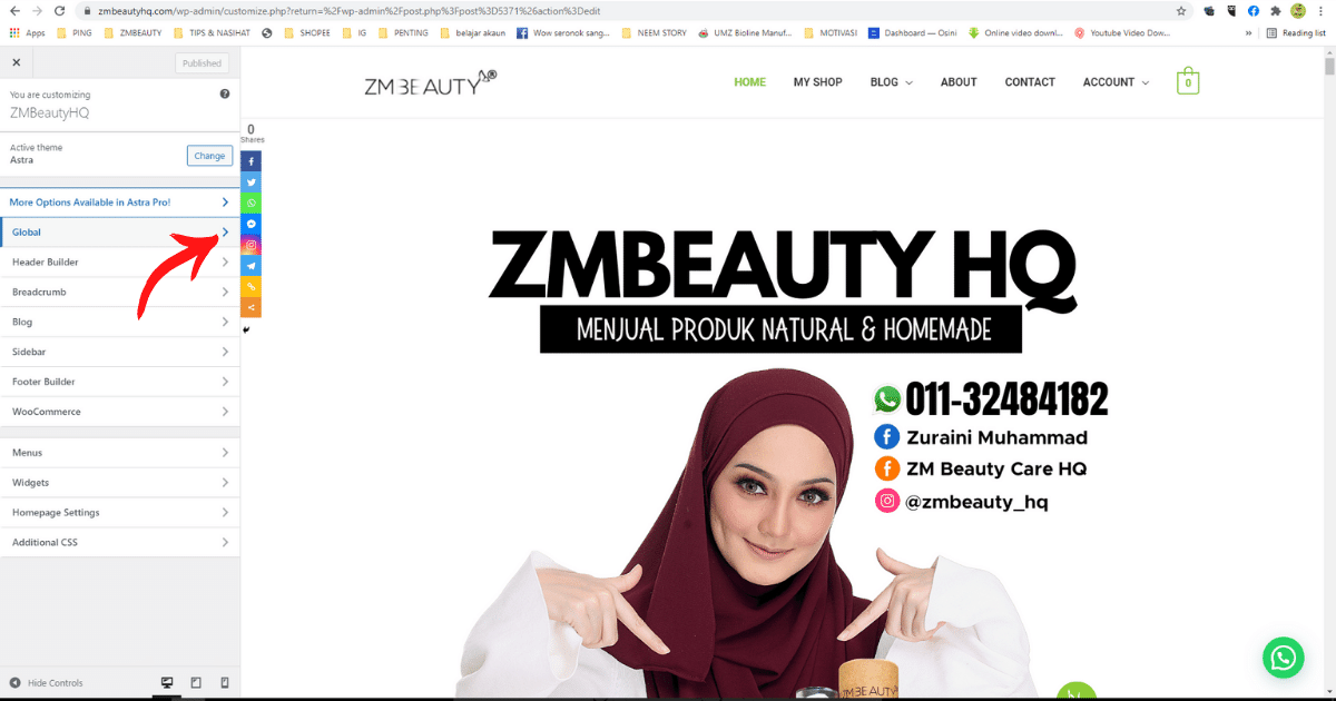 tutorial cara mudah menukar font dan saiz font di wordpress3