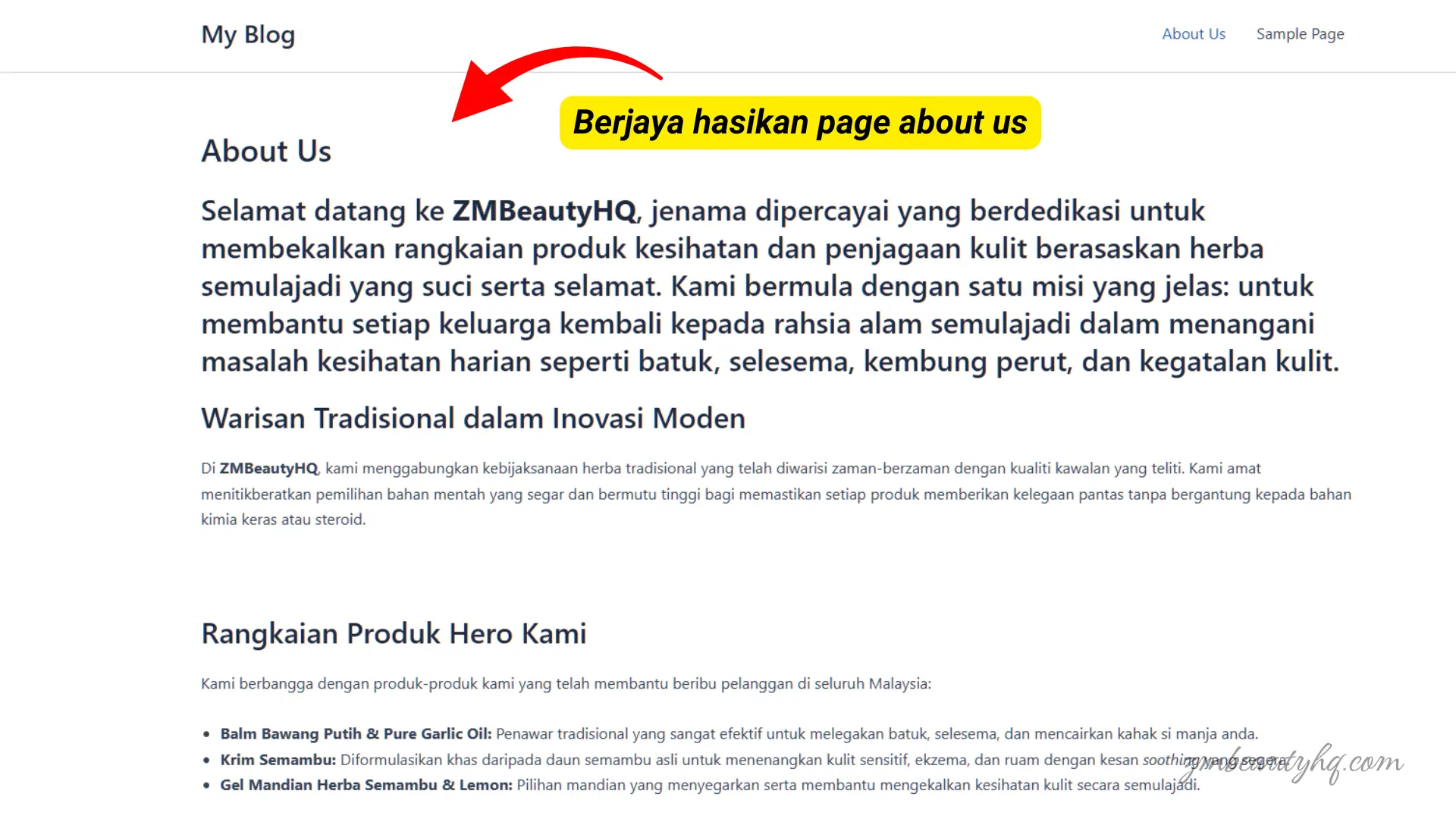 Notifikasi pengesahan hijau berjaya menerbitkan profil rasmi hasil bimbingan Cara Bina Halaman About Us WordPress NetKL.
